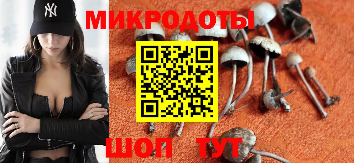 где найти   Вход с VPN  Корсаков  Галлюциногенные грибы ЛСД 